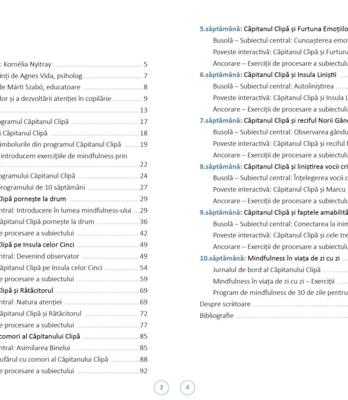 ro_captainmoment_lookinside_3-4 ro_captainmoment_lookinside_3-4