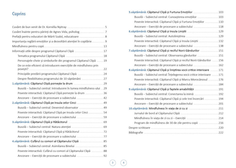 ro_captainmoment_lookinside_3-4